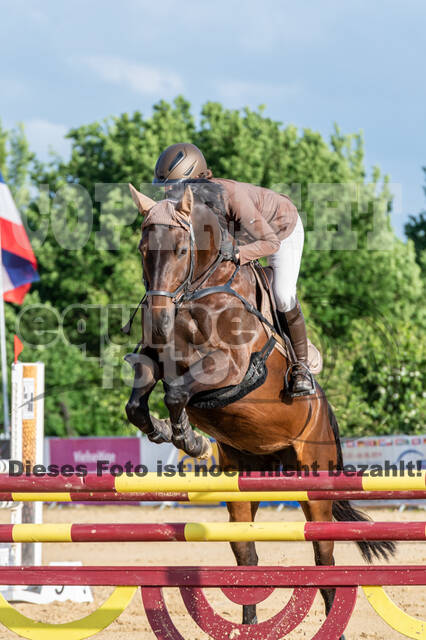 Westerstede Horse Trials 2021