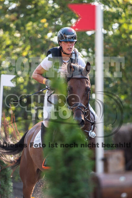 De Peelbergen (August 2020)