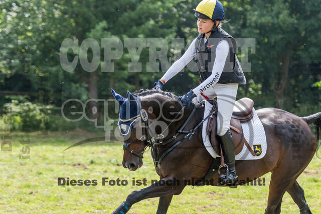 Goldene Schärpe 2021 - Ponys