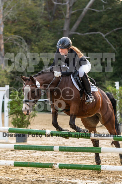 RFV Dinslaken-Hiesfeld (Herbstturnier)