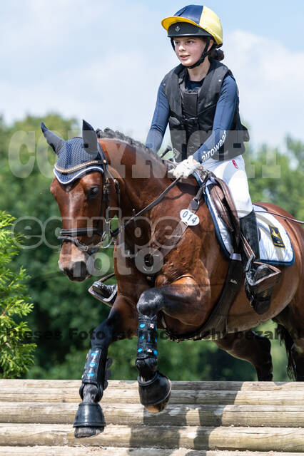 Goldene Schärpe 2021 - Ponys