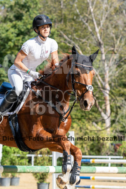 RFV Dinslaken-Hiesfeld (Herbstturnier)