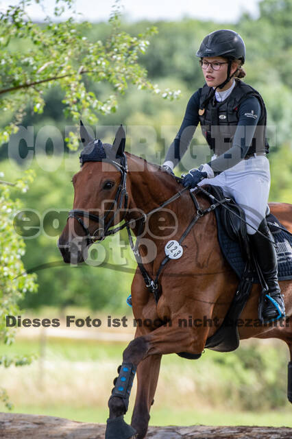 Bonn-Rodderberg Late-Entry-Vielseitigkeit (30.06.2020)