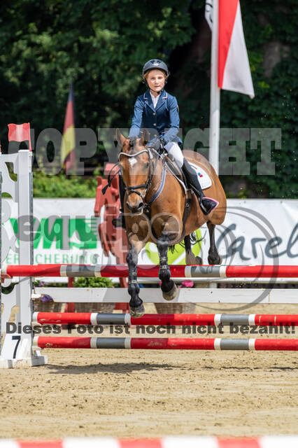 Goldene Schärpe 2021 - Ponys