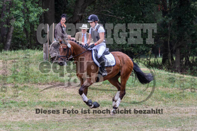 Late-Entry Vielseitigkeit Hamminkeln/Wesel (01.+02.08.2020)