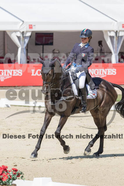 FEI European Championship