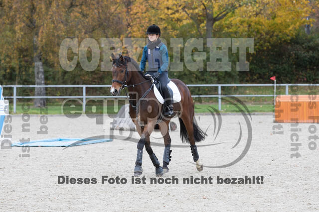 IGV Lehrgang der Sieger der Cups mit Frank Ostholt