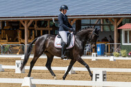 Westerstede Horse Trials 2021