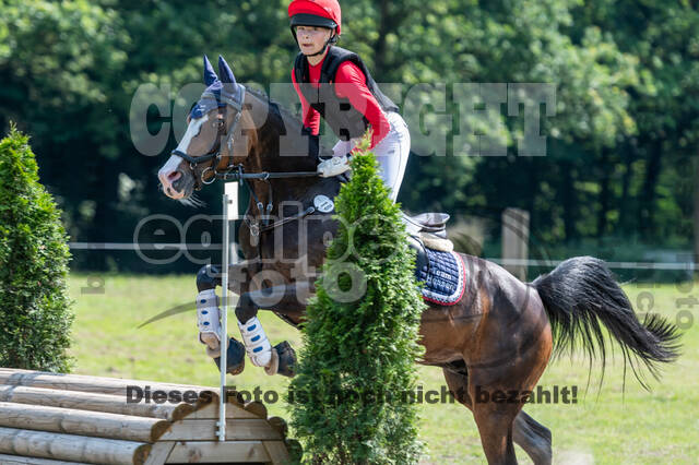 Goldene Schärpe 2021 - Ponys