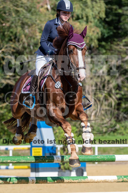 RFV Dinslaken-Hiesfeld (Herbstturnier)