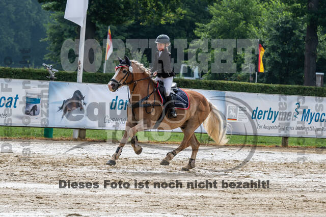 Goldene Schärpe 2021 - Ponys
