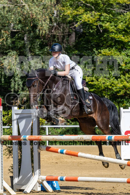 RFV Dinslaken-Hiesfeld (Herbstturnier)