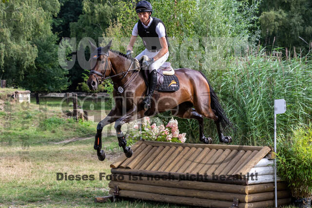 Late-Entry Vielseitigkeit Hamminkeln/Wesel (01.+02.08.2020)