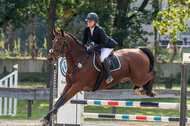 Vielseitigkeit RSV Wesel Obrighoven (26.+27.09.2020)