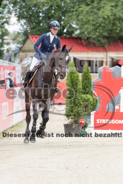FEI European Championship