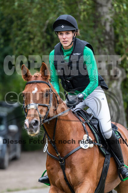 Late-Entry-Vielseitigkeit Langenfeld (11.+13./14.06.2020)