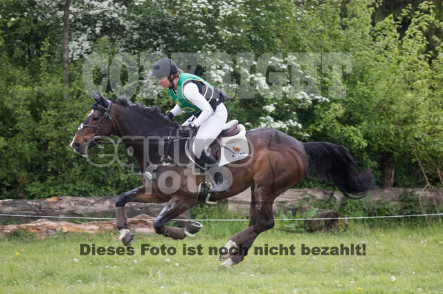 Sterne über Münster 2019 - CCI***S