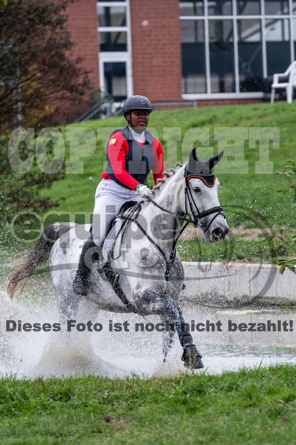 Goldene Schärpe 2020 - Pferde