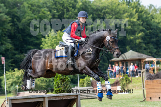 Goldene Schärpe 2021 - Ponys