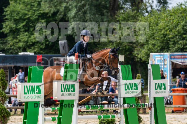 Goldene Schärpe 2021 - Ponys