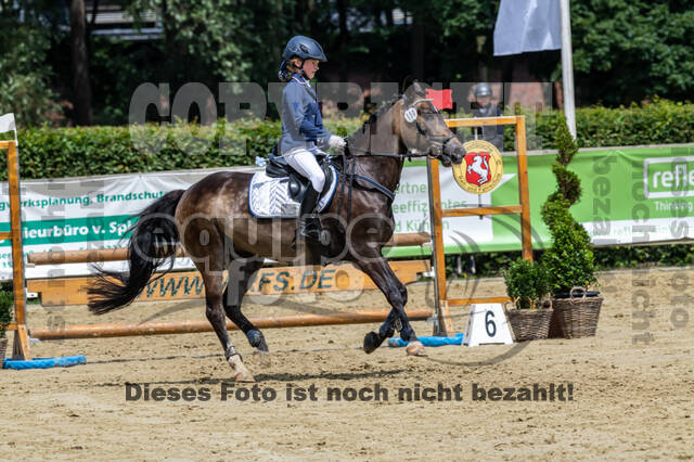 Goldene Schärpe 2021 - Ponys