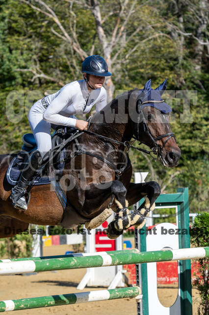 RFV Dinslaken-Hiesfeld (Herbstturnier)