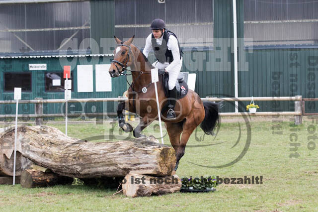 Jungpferdetag Hamminkeln