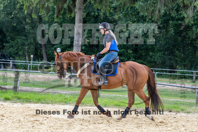 Hunter Geländetraining 10.07.2021 (Sonsbeck)