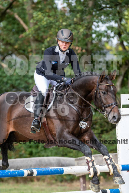 Vielseitigkeit RSV Wesel Obrighoven (26.+27.09.2020)