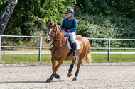 Late-Entry-Vielseitigkeit Langenfeld (11.+13./14.06.2020)