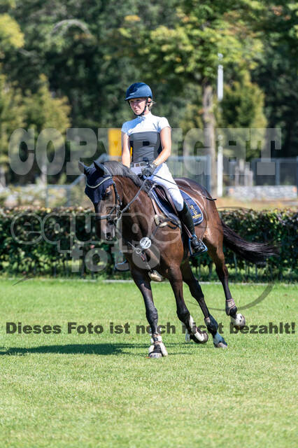 Kronenberg - De Peelbergen (August 2020)