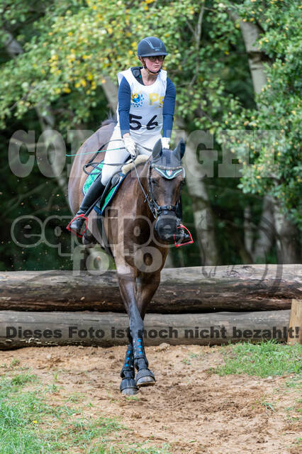 Vielseitigkeit RSV Wesel Obrighoven (26.+27.09.2020)