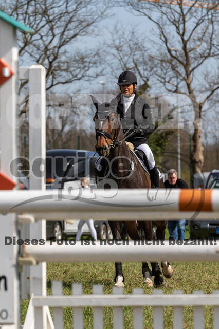 Frühjahrsvielseitigkeit RV Seydlitz Kamp