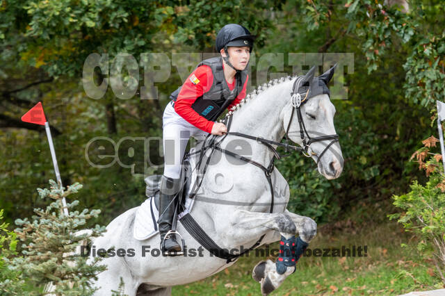 Goldene Schärpe 2020 - Pferde