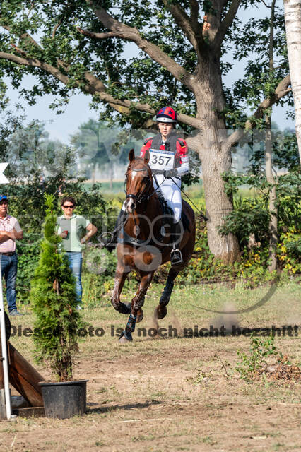 De Peelbergen (August 2020)