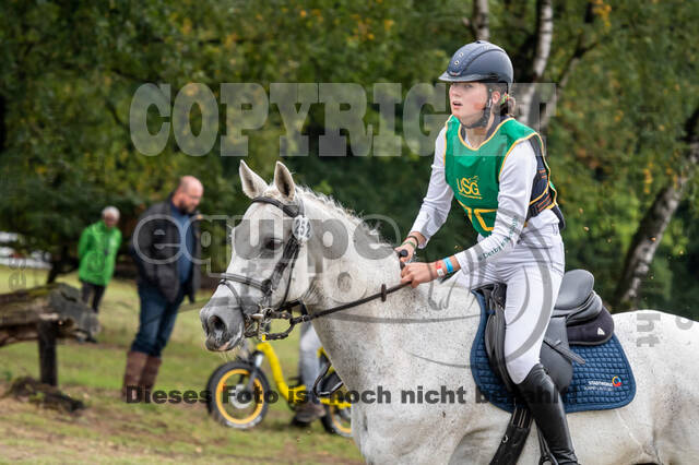 Vielseitigkeit RSV Wesel Obrighoven (26.+27.09.2020)