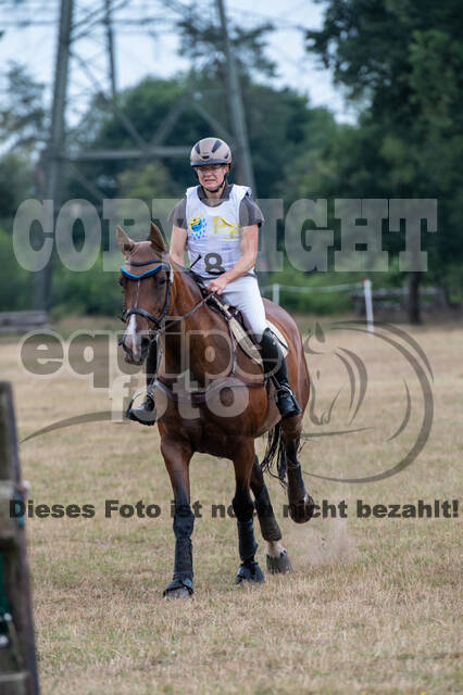 Late-Entry Vielseitigkeit Hamminkeln/Wesel (01.+02.08.2020)