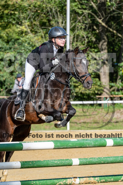 RFV Dinslaken-Hiesfeld (Herbstturnier)