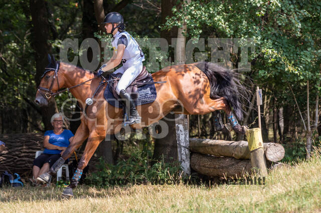 Late-Entry Vielseitigkeit Hamminkeln/Wesel (01.+02.08.2020)