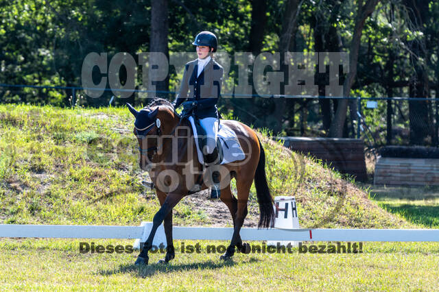 Kronenberg - De Peelbergen (August 2020)