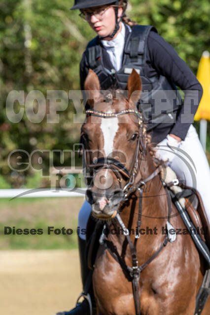 RFV Dinslaken-Hiesfeld (Herbstturnier)