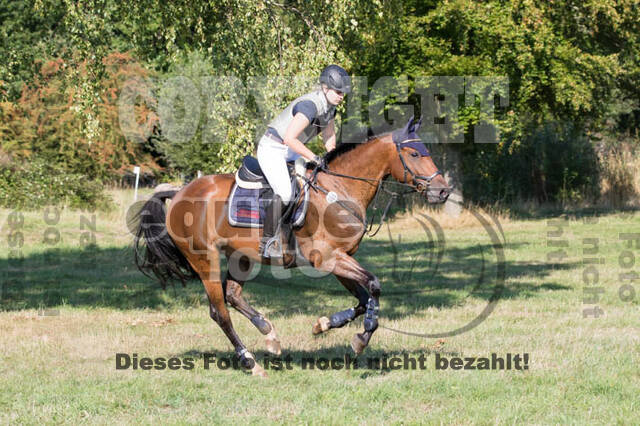 Vielseitigkeitsturnier RSV St. Hubertus Wesel Obrighoven