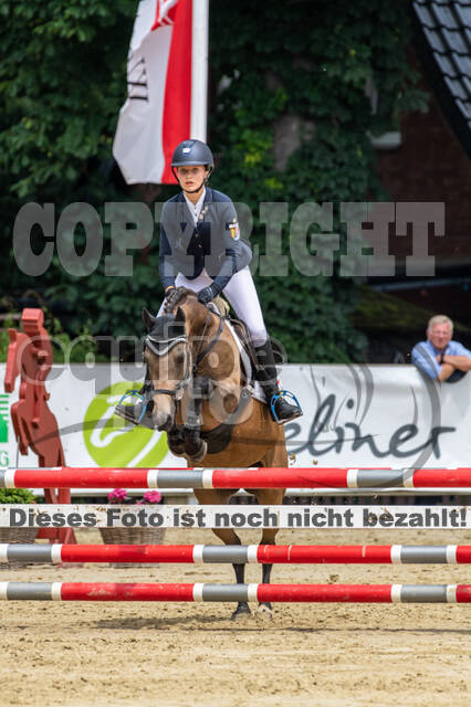 Goldene Schärpe 2021 - Ponys