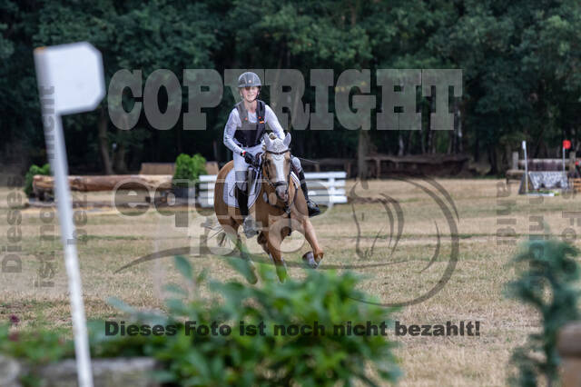 Late-Entry Vielseitigkeit Hamminkeln/Wesel (01.+02.08.2020)