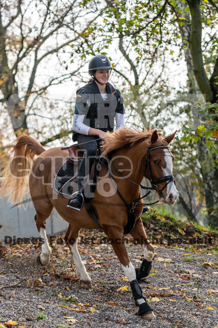 IGV Lehrgang der Sieger der Cups mit Frank Ostholt