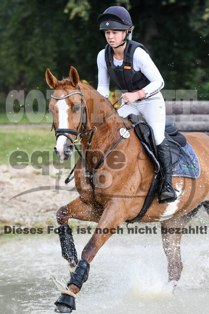 Late-Entry-Vielseitigkeit Langenfeld (11.+13./14.06.2020)