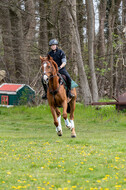 Geländetraining ZRFV Hamminkeln (24+25.04.2021)