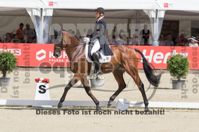 FEI European Championship Eventing 2017