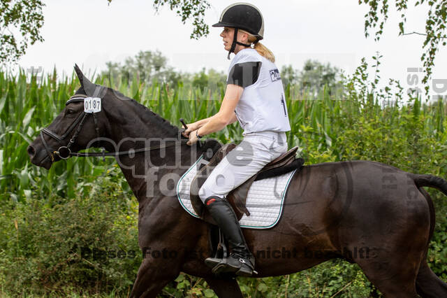 Late-Entry-Vielseitigkeit Gahlen (18.07.2020)