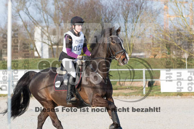 Eventing Langenfeld 2018